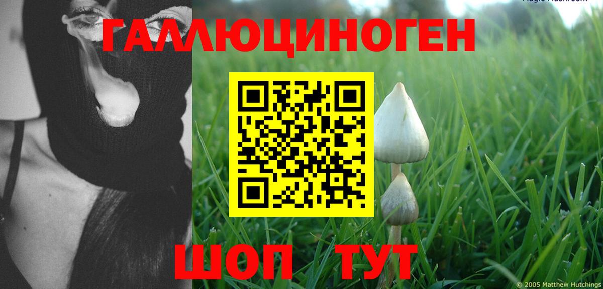Сочи  Галлюциногенные грибы Cubensis  Вход с VPN 
