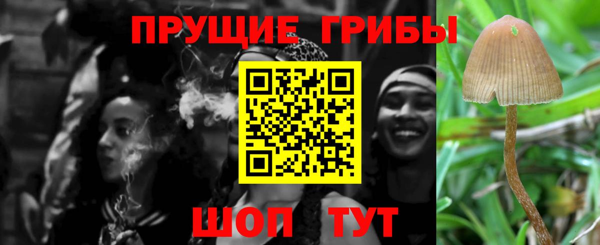 Галлюциногенные грибы MAGIC MUSHROOMS Сочи